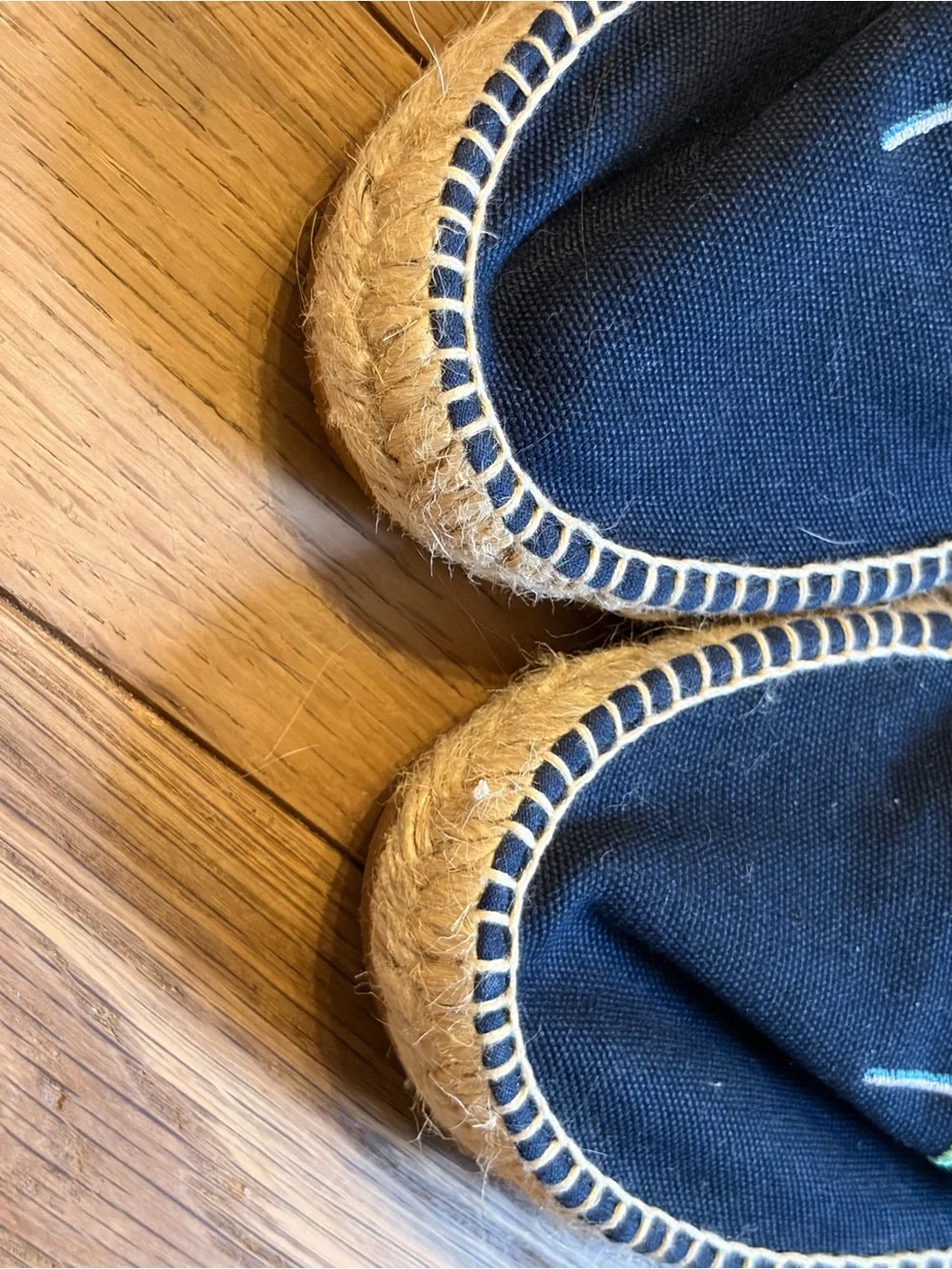 J. Crew Black Canvas Espadrille Mules with Green Trim & Dragonfly Embroidery